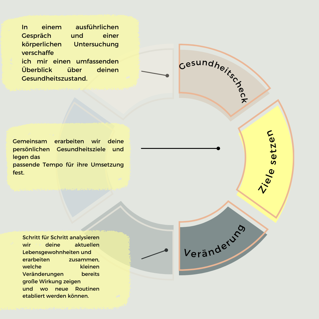 The Circle